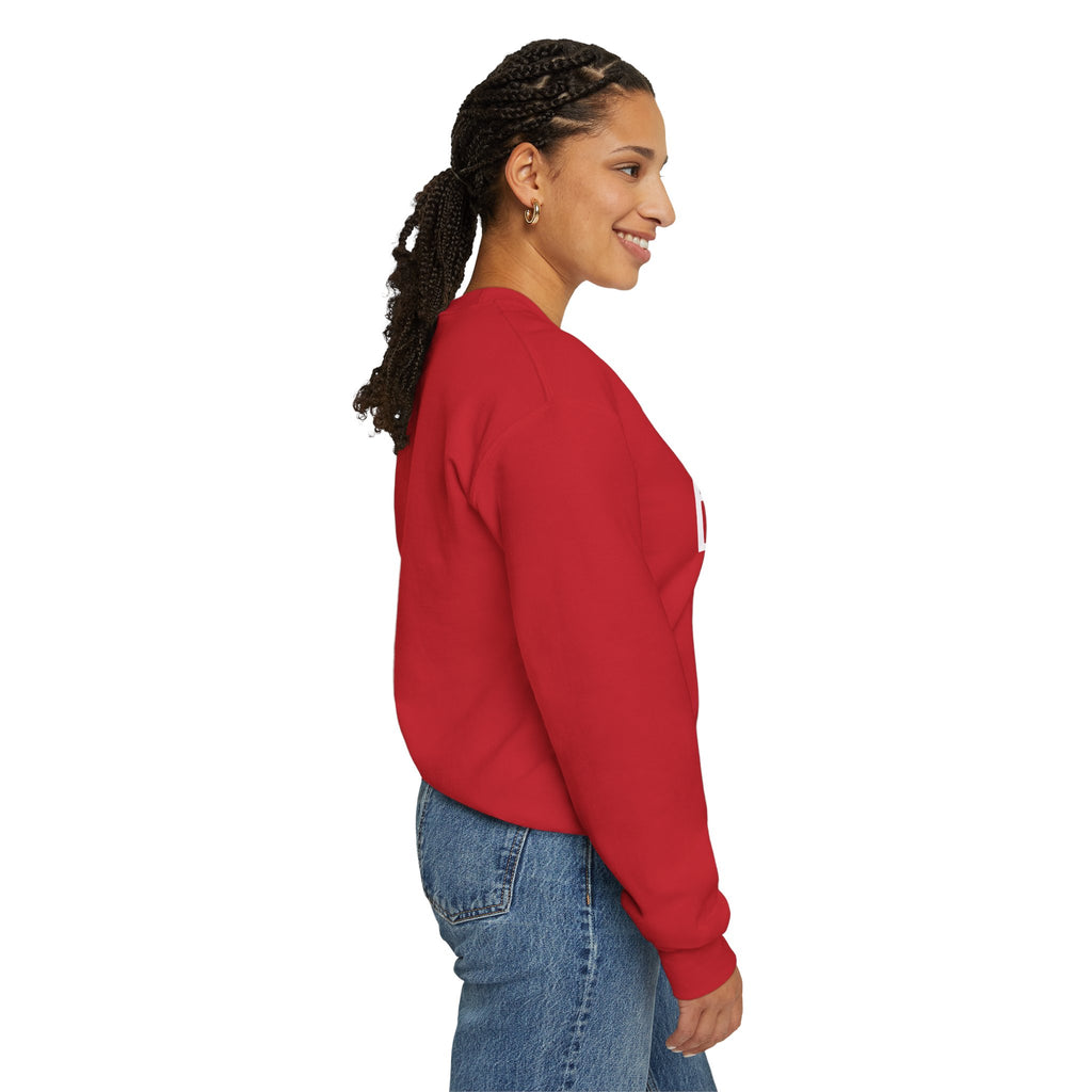 Wolf Pack “Believe John 14:1” Crewneck – Faith Streetwear Pullover