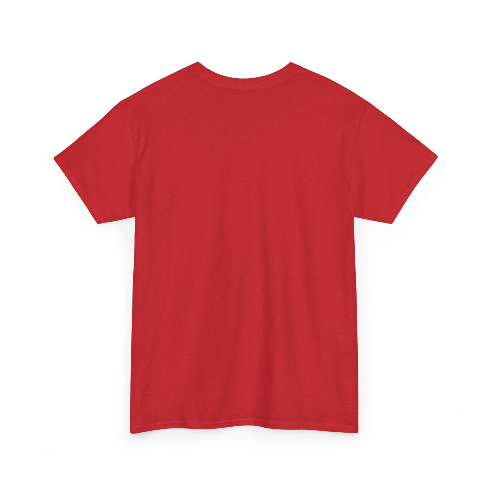 Baseball Tee — “Hey Batter Batter Swing” Graphic Shirt