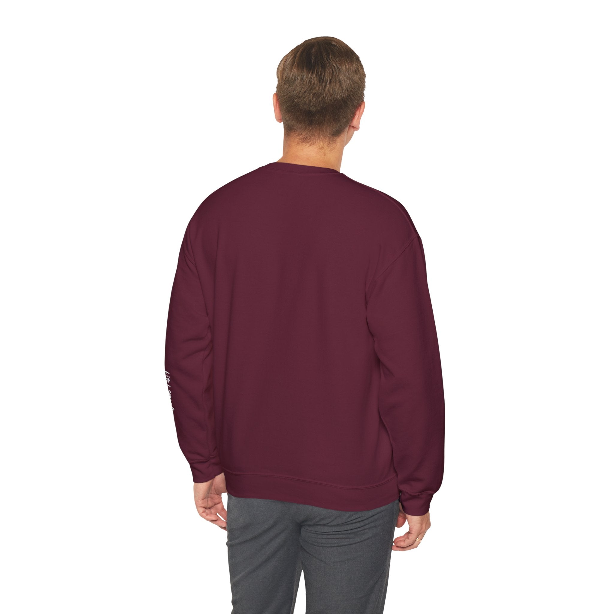 Wolf Pack “Believe John 14:1” Crewneck – Faith Streetwear Pullover